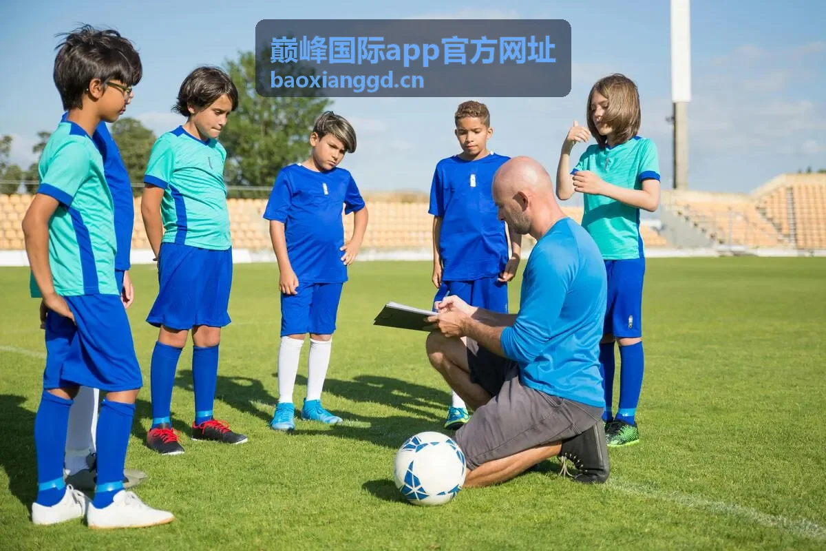 巅峰国际app官方网址页面提示信息复核